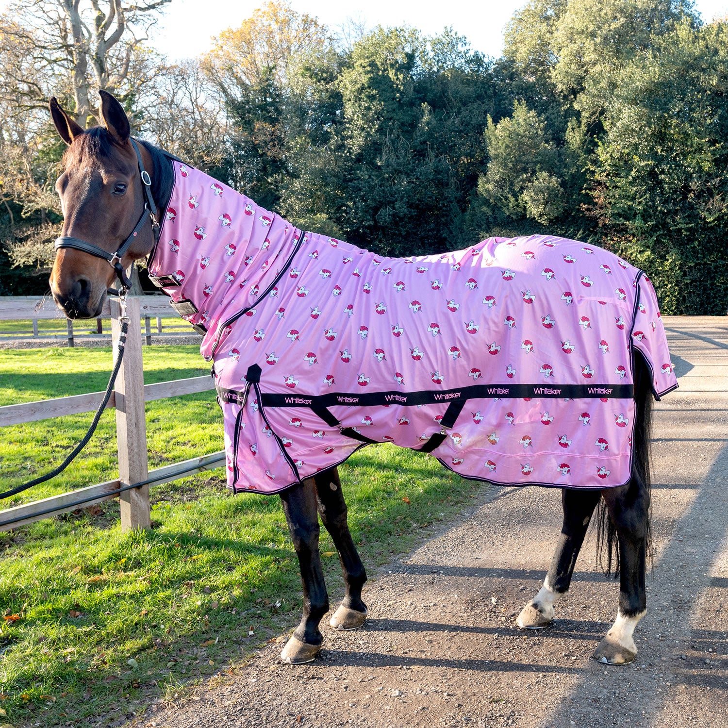 Whitaker Unicorn Fly Rug – SLM EQUESTRIAN