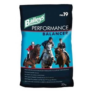 Baileys No 19 Performance Balancer