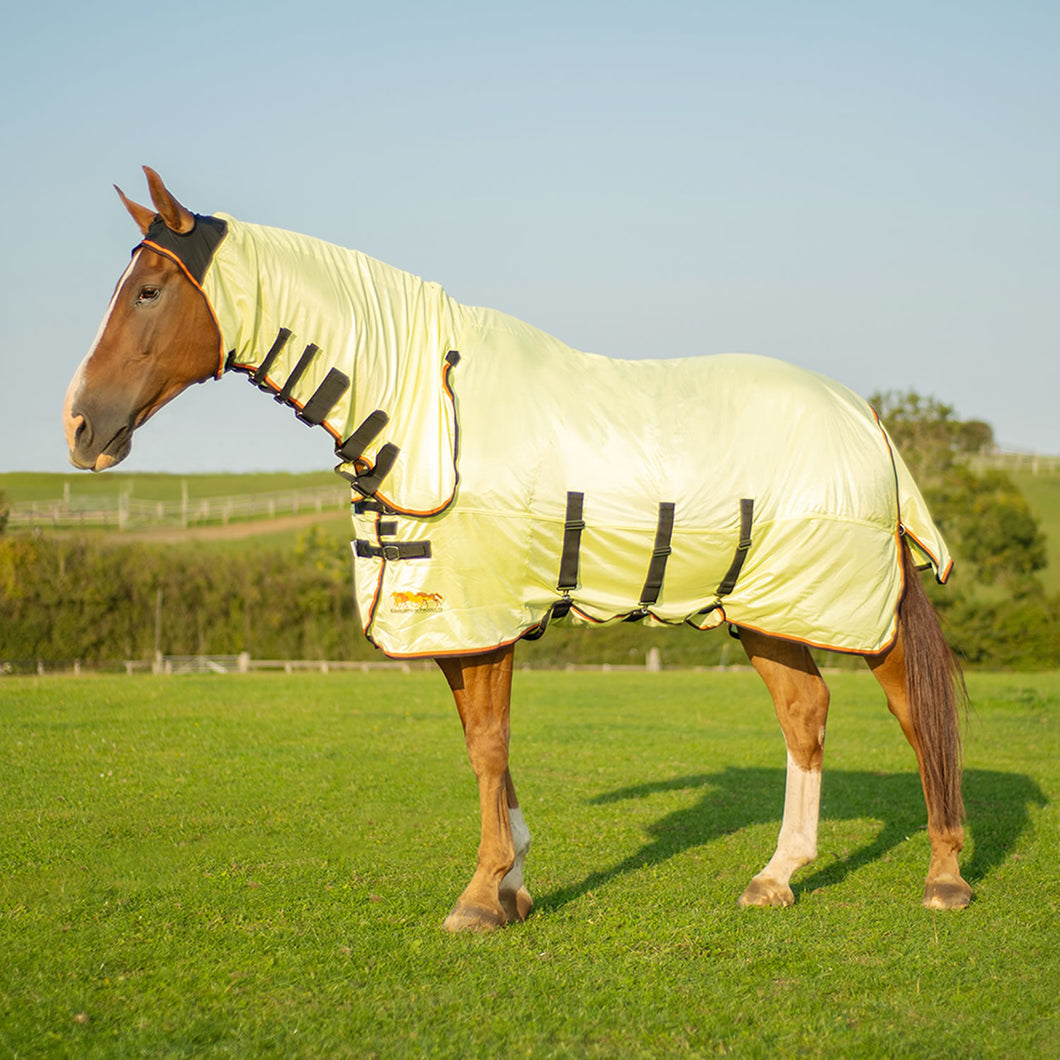 Equilibrium Sweet Itch Field Relief Fly Rug