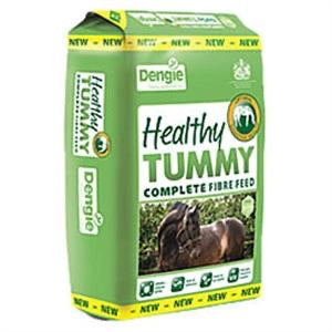 Dengie Healthy Tummy