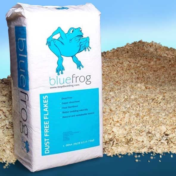 Blue Frog Shavings