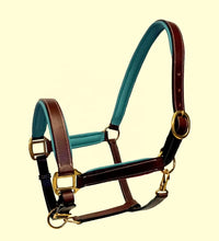 Load image into Gallery viewer, Leather Headcollar With Coloured Piping
