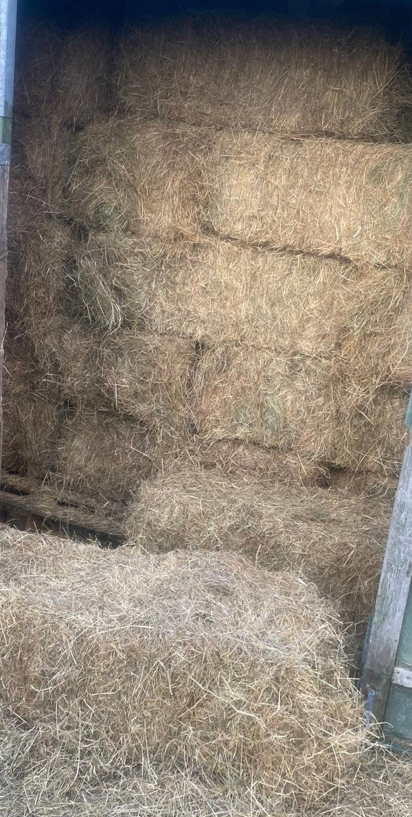 Conventional Hay Bale